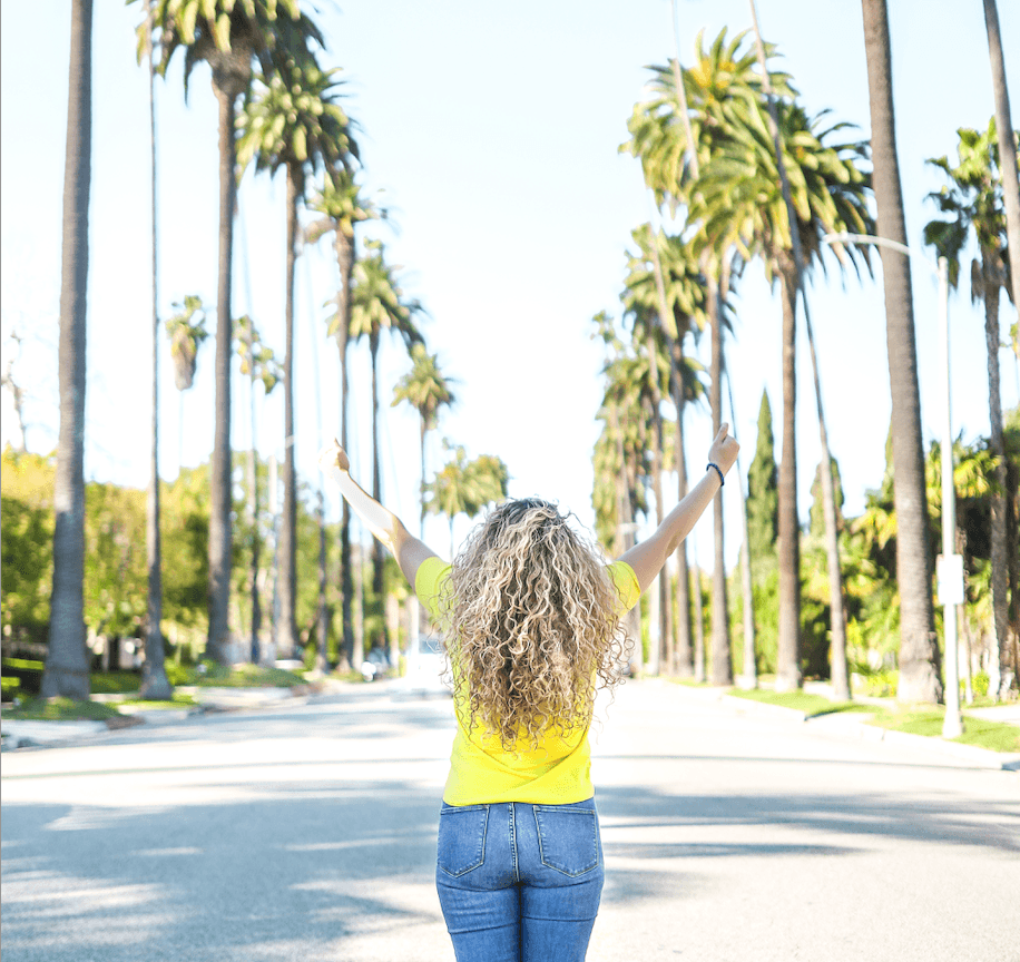 A potted plant next to an open book with text about free resources.